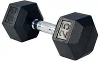 ISO 5-30lbs rubber hex dumbbells (pairs)