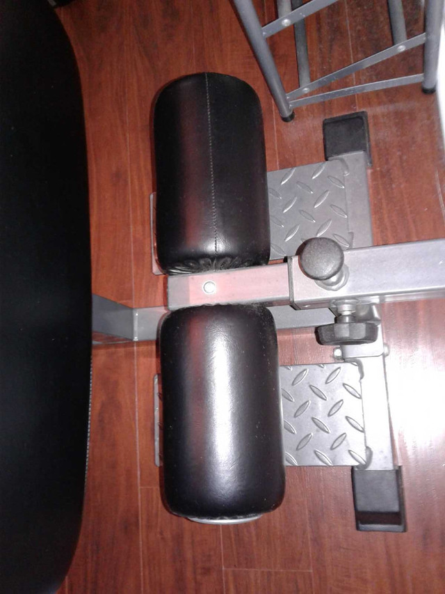 Deep squat apparatus (sissy squat): for trade or best offer  in Exercise Equipment in City of Toronto - Image 2