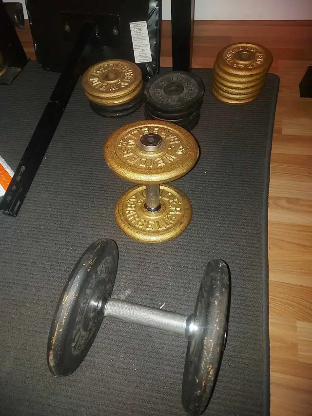 Weider 146 Bench Press Set + Weights in Exercise Equipment in Revelstoke - Image 4