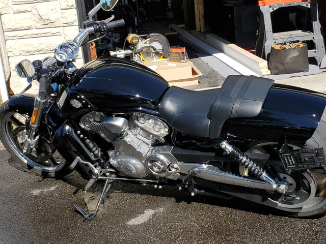 Harley Davidson VRod Muscle 2014 A VENDRE dans Utilitaires et de promenade  à Laval/Rive Nord - Image 2