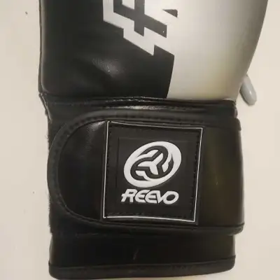 Reevo Boxing Gloves bin 9, View more