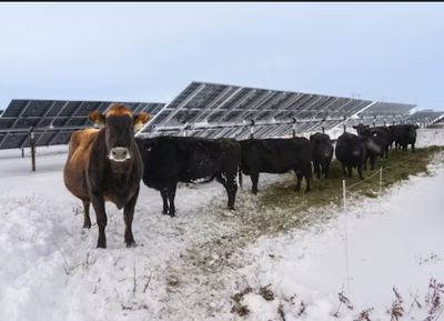 -Use Every Inch of Your Land – Farm Smarter with Solar Agrovolta, View more