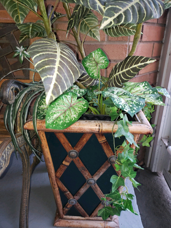 Artificial plant decoration  in Home Décor & Accents in Mississauga / Peel Region
