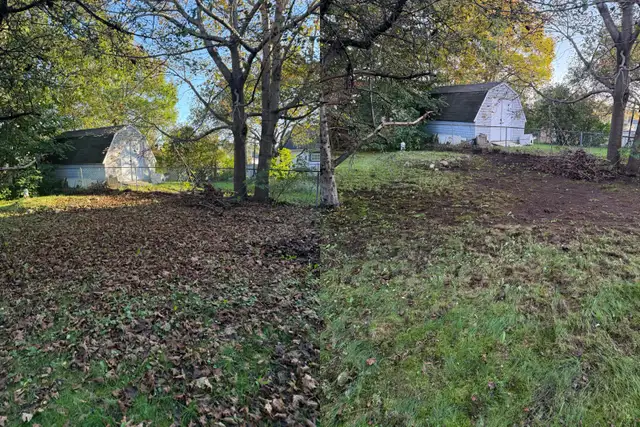 fall cleanup/ leaves removal569705120128061442