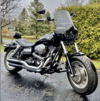 Harley Davidson FatBob  Custom 