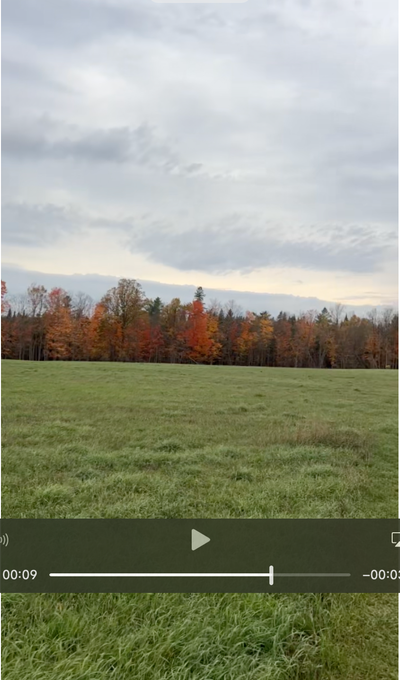 Cleared Building Lot By Lake and Farmhouse For Sale, View more