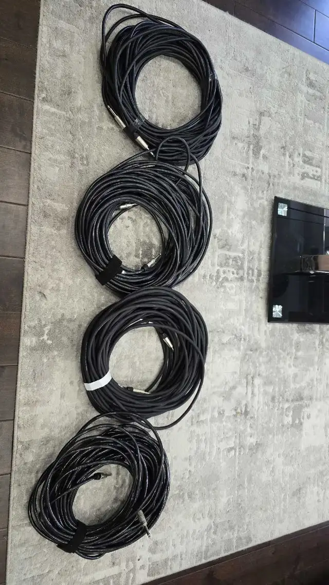 Professional speaker cables, 100 Ft each  in Performance & DJ Equipment in Oakville / Halton Region - Image 2