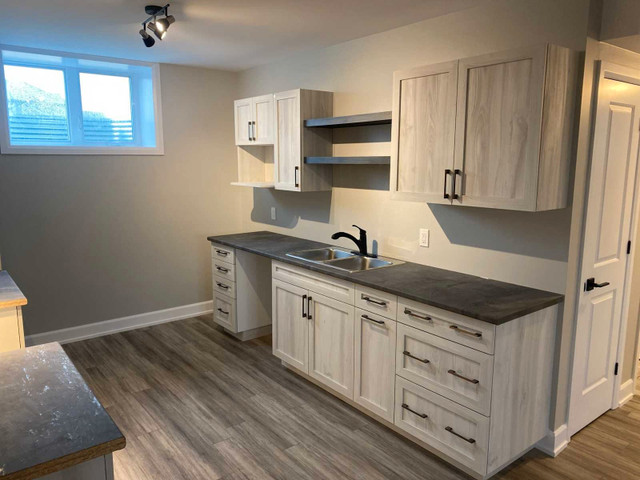 Luxury Lower Unit - Semi Detached Home in Long Term Rentals in Ottawa