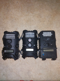 Trail cameras 