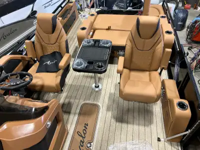 Ponton Avalon LSZ tous les options; black édition , système de son haut gamme ( amplificateur, conso...