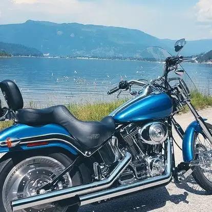 Harley-Davidson 2005 Deuce in Street, Cruisers & Choppers in Vernon - Image 2