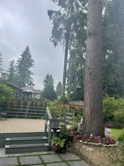 STUNNING RENOVATED ROOM IN PRIME NORTH VANCOUVER LOCATION ✨ Steps to Bus • Walk to Superstore • Minu...