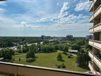 1 Bedroom 1 Bathroom Apartment