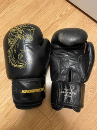 14 ounce boxing gloves