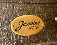 Takamine Jasmine Dreadnought Acoustic Case