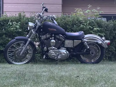 2002 Harley Davidson Sportster 1200
