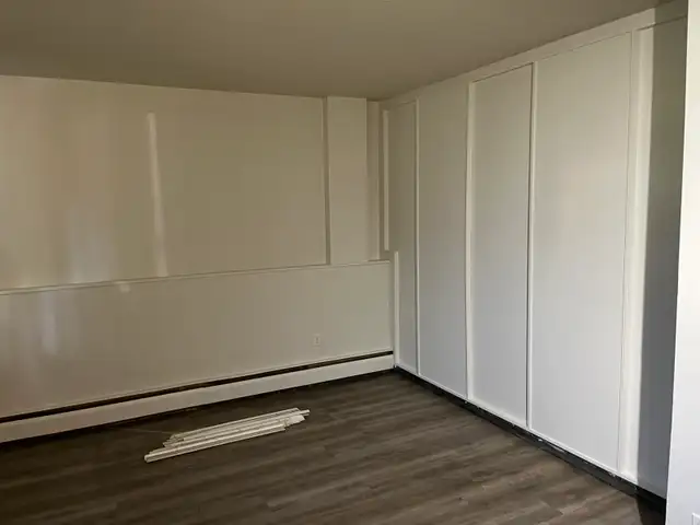 Painter looking for work489972054832588802