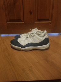 Nike Air Jordan Retro 10.5 Low Navy Blue Snakeskin
