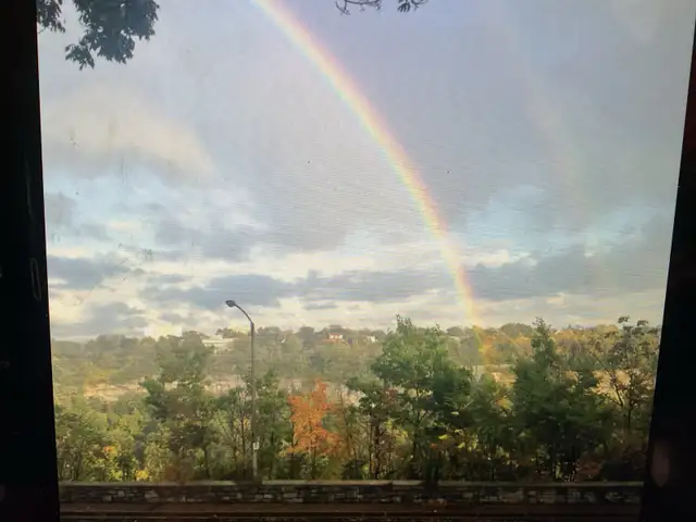 Spacious and Furnished One bedroom on River Road .