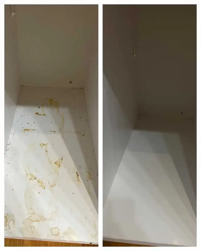 cleaning 552033700671672322