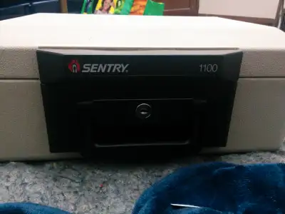 Sentry 1100  safe, View more