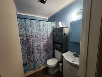 Looking into a roommate to help pay rent