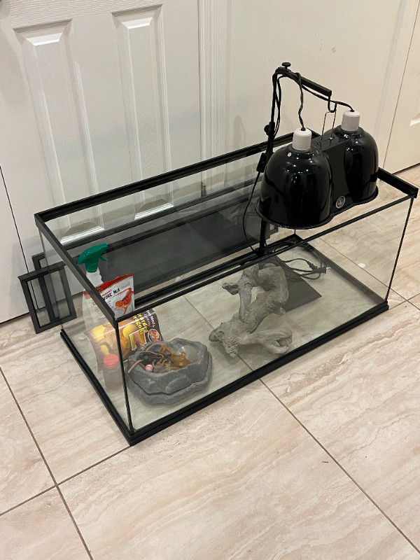 Reptile Terrarium + Accessories ( 190L ) in Accessories in Calgary