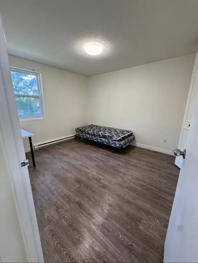 3 Rooms available for Rent walking distance from University of in Long Term Rentals in Kitchener / Waterloo - Image 4