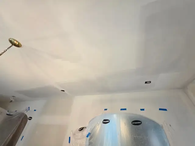 Professional painter/plaster . in Construction & Trades in City of Toronto - Image 3