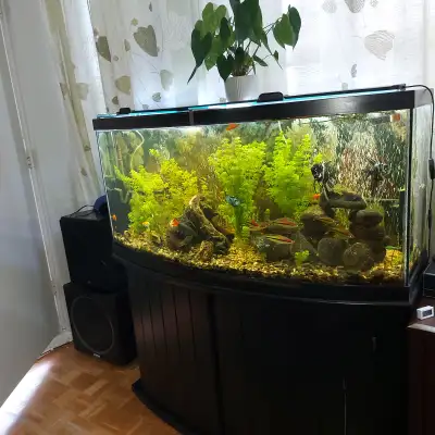 2 bowl aquariums with stand, light, compressor, filters, gravel, need to sell fast, moving out. Sell...