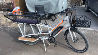 2019 Rad Power Bike Rad Wagon 3