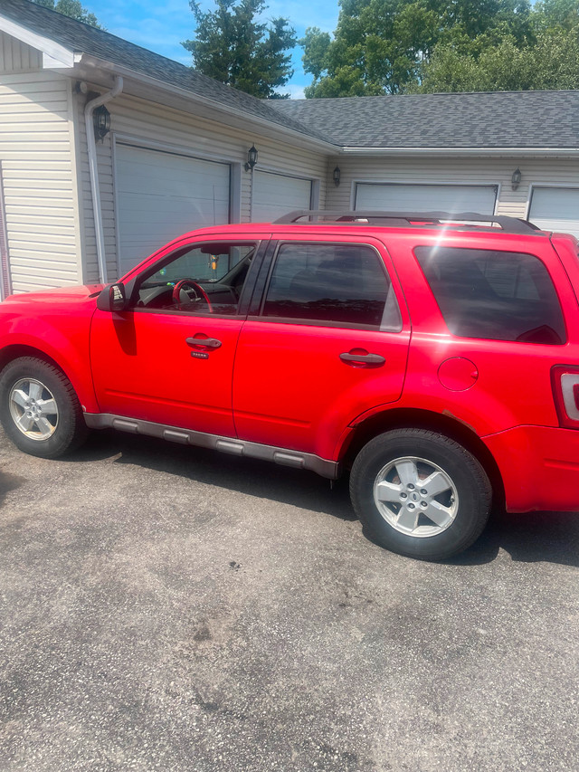 LOW KMS 2009 Ford Escape in Cars & Trucks in Trenton - Image 4