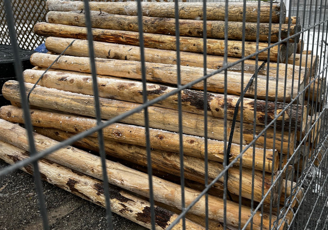 New 4x4 6x6 8ft Pressure Treated Posts, starting at $17 ea in Decks & Fences in Muskoka - Image 3