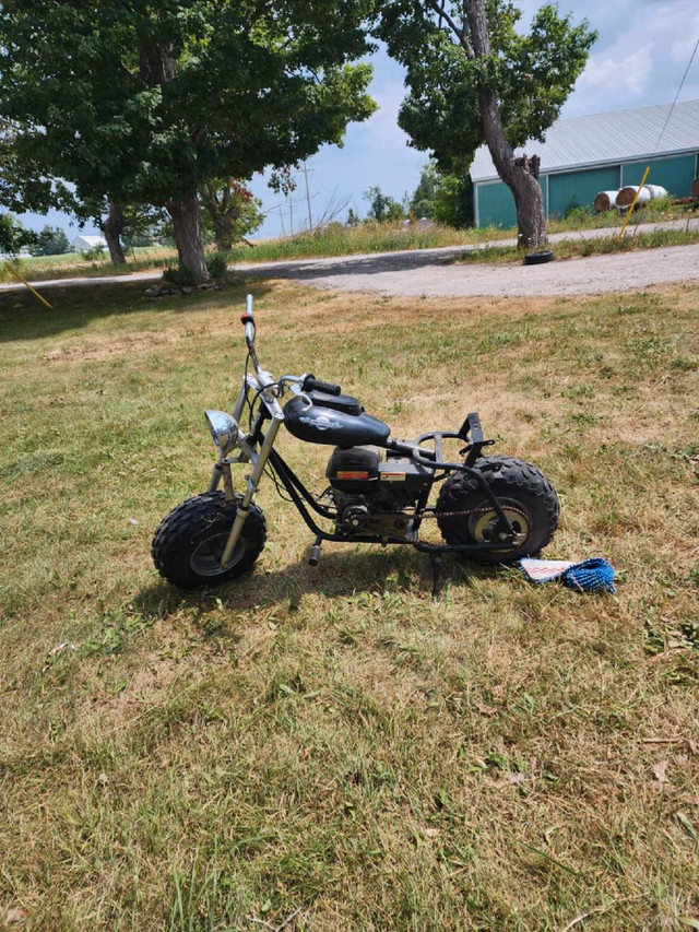 Baja warrior  200 in Other in Kawartha Lakes