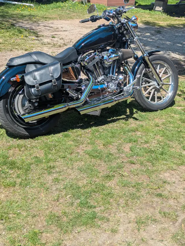 1200 CC Stage 2 Sportster in Street, Cruisers & Choppers in Kawartha Lakes - Image 4