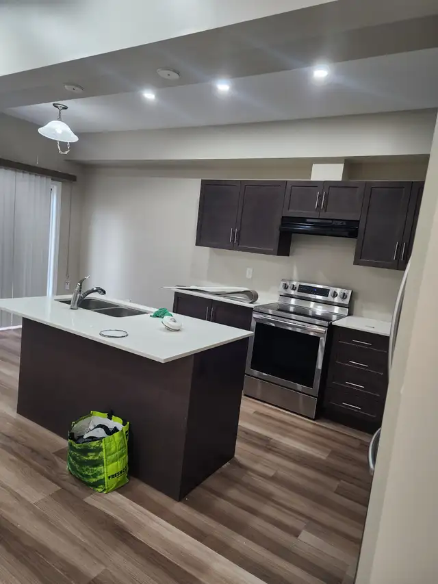 Painter in Construction & Trades in City of Toronto - Image 16