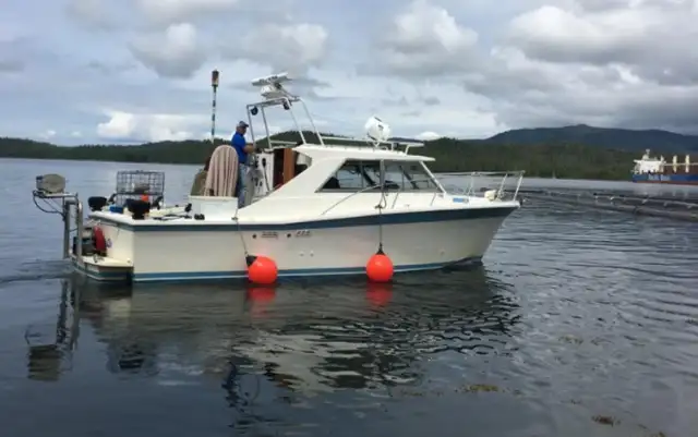 1974 Uniflite 28 ft Sport Sedan Fishing Boat in Powerboats & Motorboats in Campbell River - Image 2
