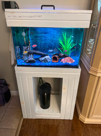 20 Gallon Aquarium empty with Cabinet and lid.