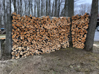 Hard Maple Fire Wood