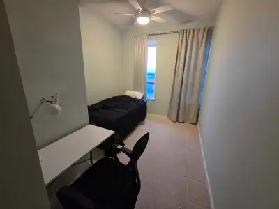Private room at Univercity in SFU. Shared with a female academic and her cat. 950 + utilities. Pet f...