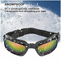 Snowboard, Ski, or Bike  Goggles