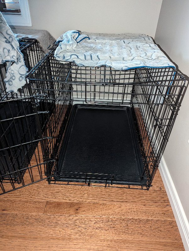 DOG TRAINING CAGES in Accessories in London