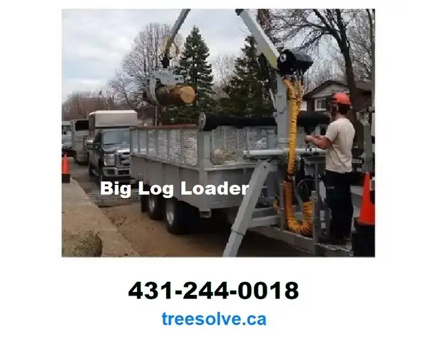 Tree Removal - Pruning - Disease Treatment | 431-244-001862863247569026122