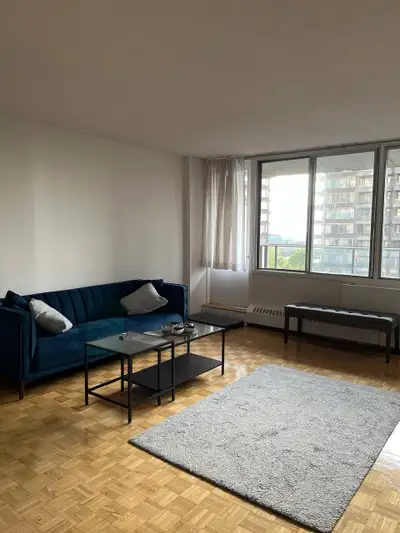large 1 bedroom apartment near downtown