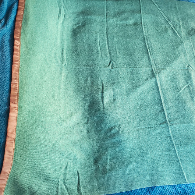 1920's Woven Wool Blanket in Bedding in Kingston - Image 3