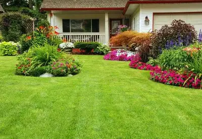 Spring Clean-up / Aeration, View more