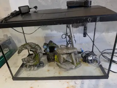 Aquarium for sale includes everything you need to get started. Reduced to $100. or best offer. 10 ga...