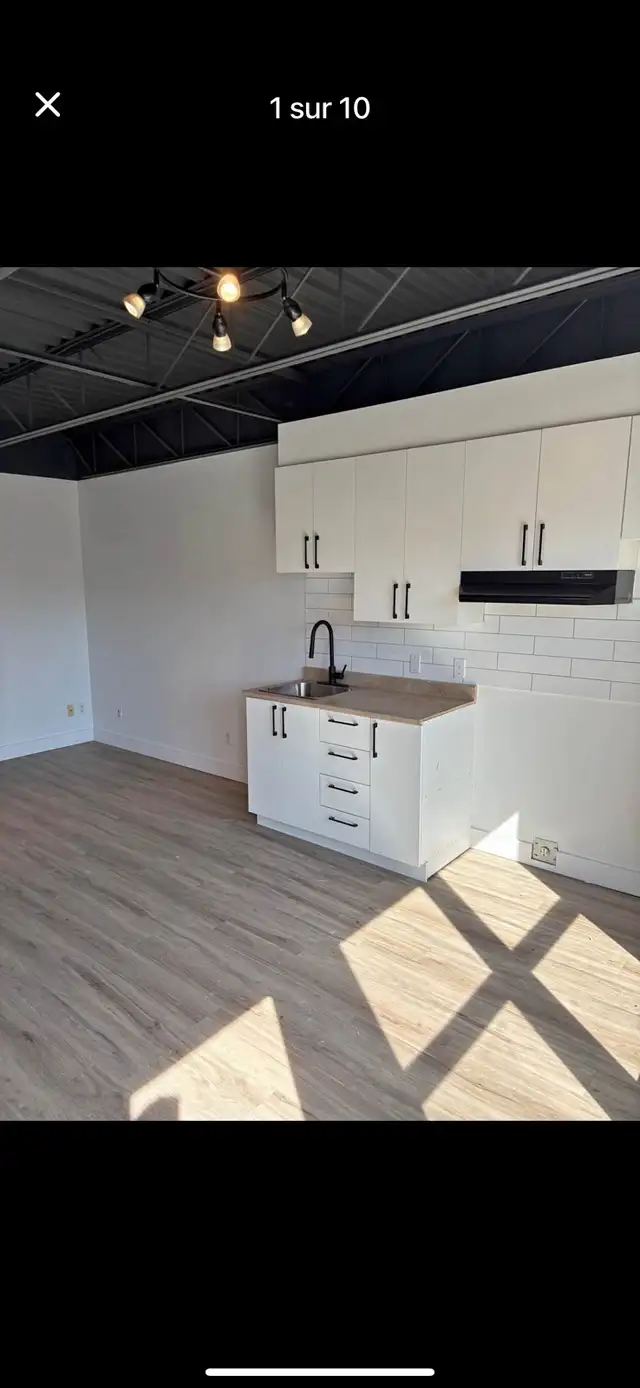 3.5-Room Apartment