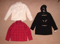 Winter Jackets and Hoodies - sz L - Columbia, E. Bauer, UA, etc