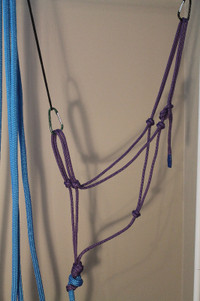 Purple rope halter with blue lead rope